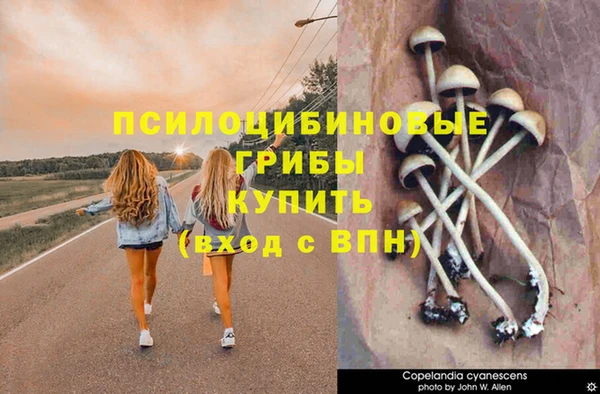 соль курить ск Алексеевка