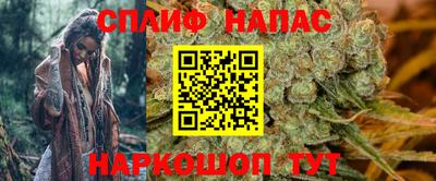 прущие грибы Среднеуральск