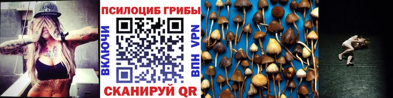 Псилоцибиновые грибы Psilocybine cubensis  блэк спрут рабочий сайт  Рязань 