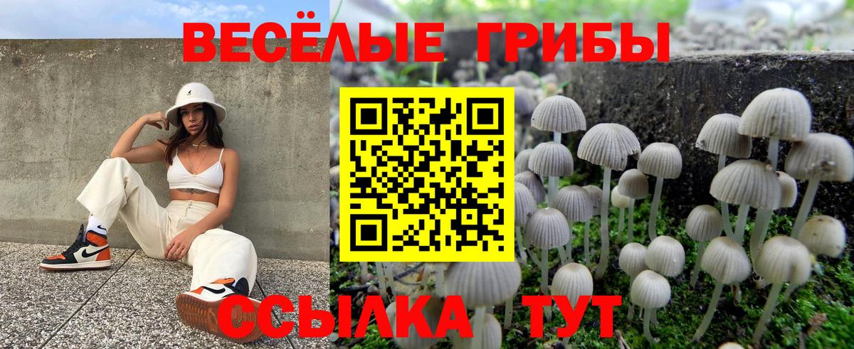 Галлюциногенные грибы Cubensis  Вход с VPN  Рязань  Псилоцибиновые грибы Psilocybine cubensis 